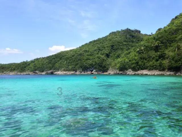 各地“隐藏版”新特产火爆“出圈” 折射农业生产格局新变化